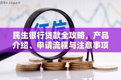 右江民生银行贷款全攻略，产品介绍、申请流程与注意事项